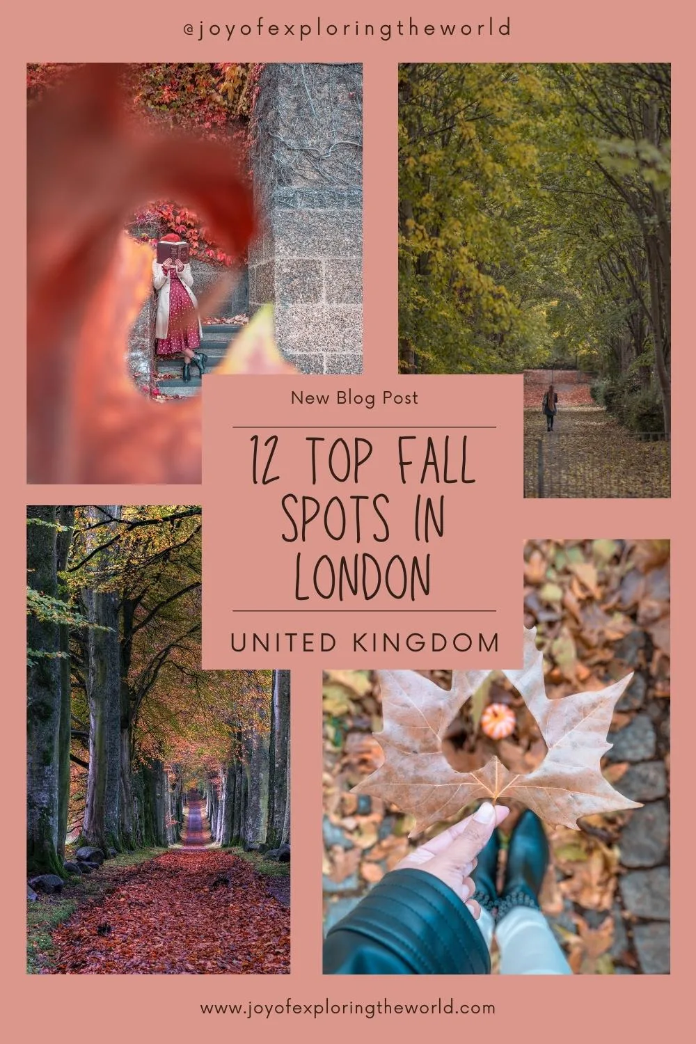 Collage showing autumn scenes in London: tree-lined leaf-strewn paths, a person holding a large brown leaf, and a woman reading by ivy-covered stone steps.