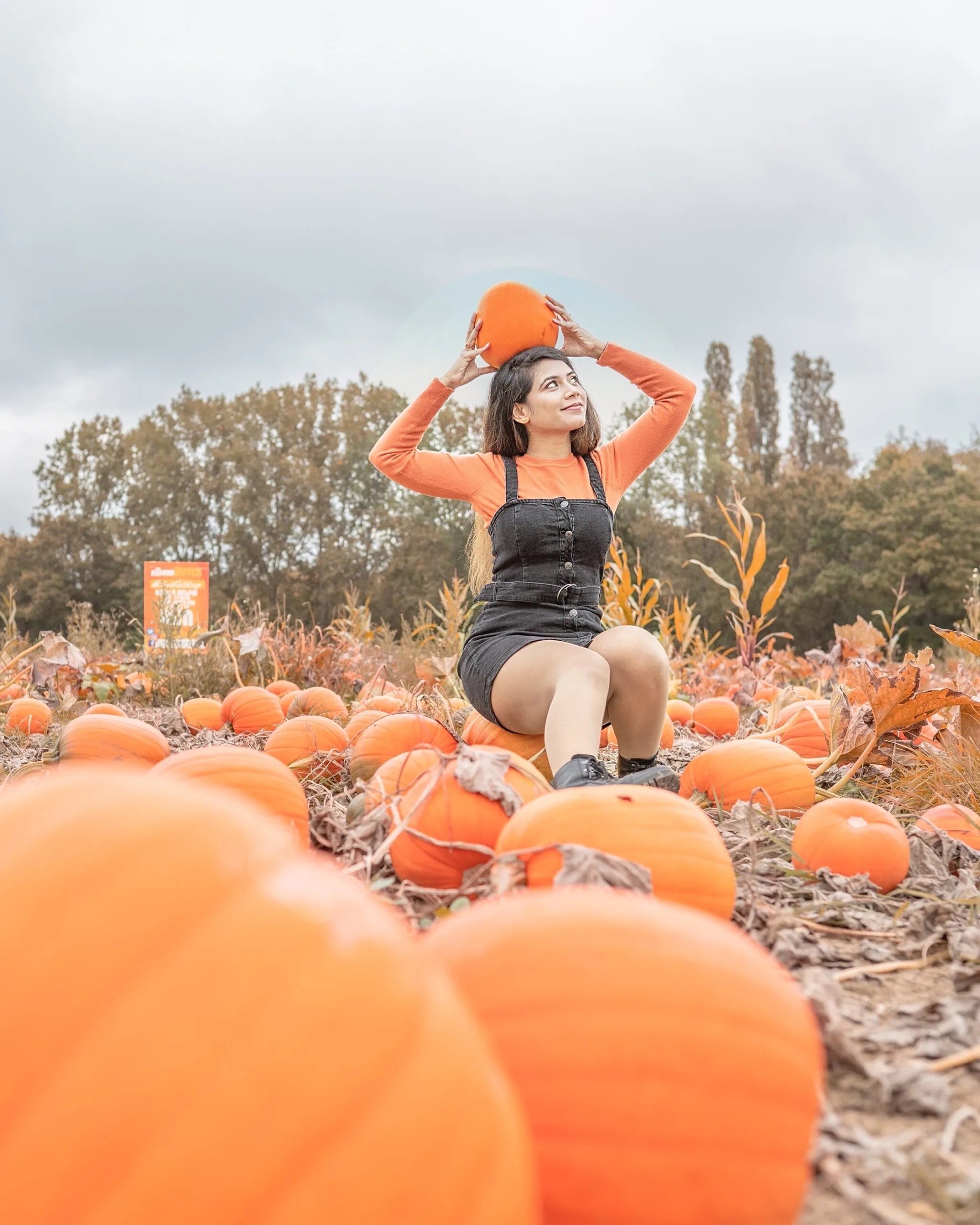 Pumpkin fields in London: 10 spots for Pumpkin picking