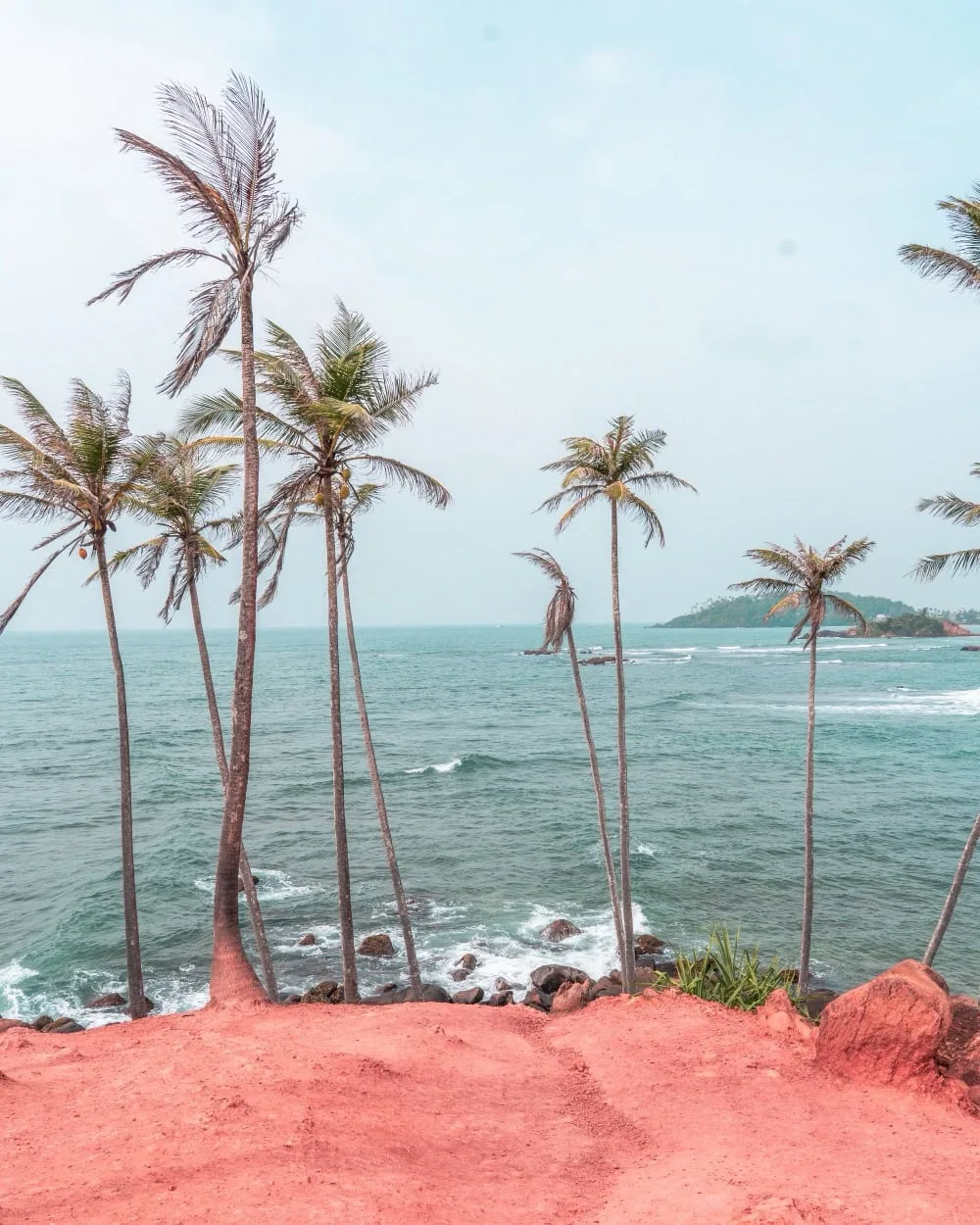 Tropical coastline with palm trees.