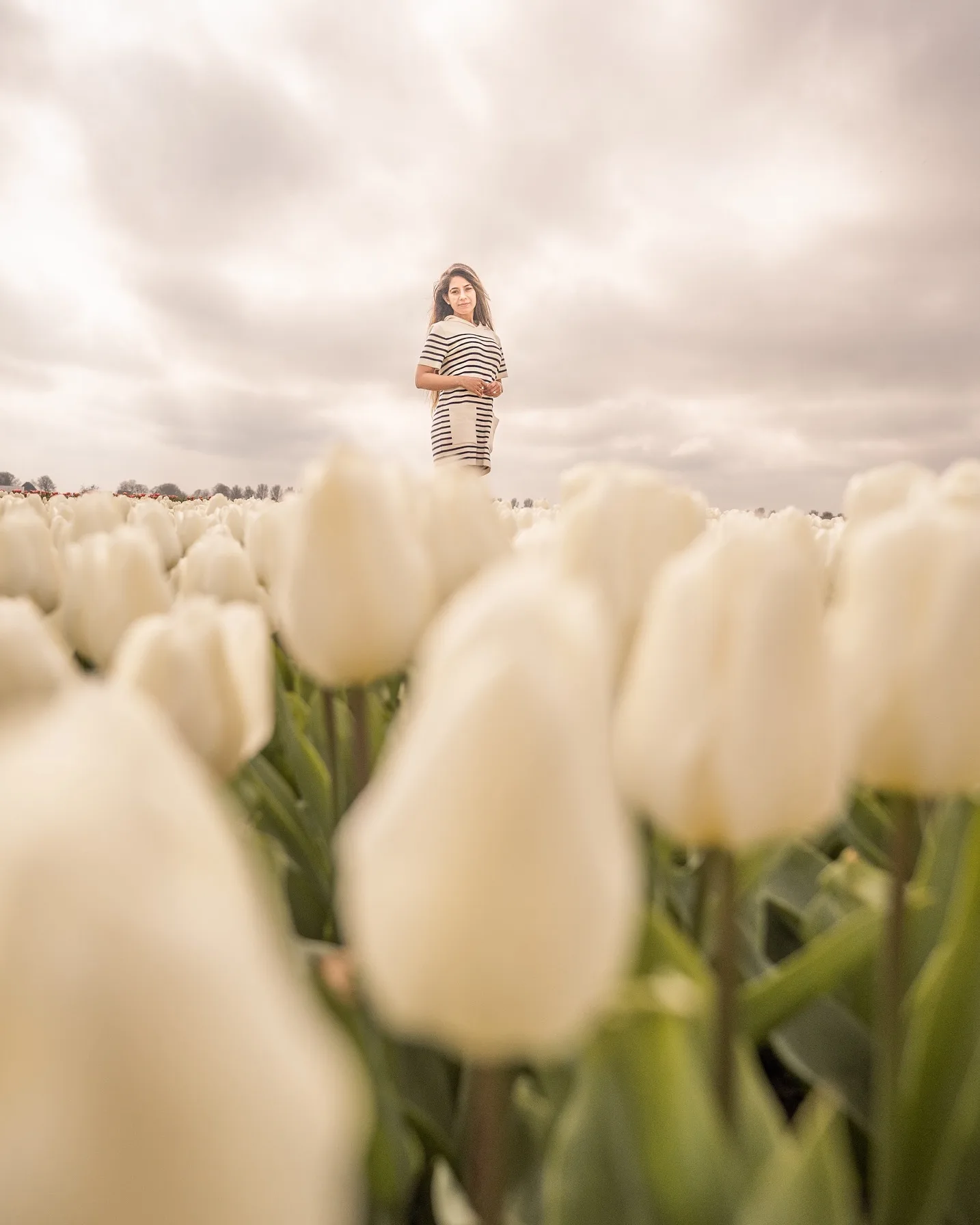 Woman in a striped dress standing amid a field of creamy white tulips under a cloudy sky.