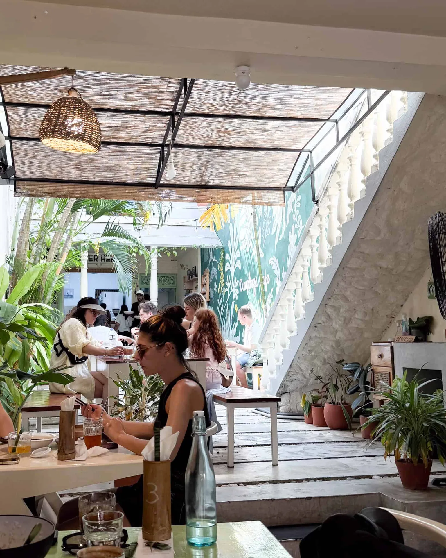 Lively café with tropical decor.