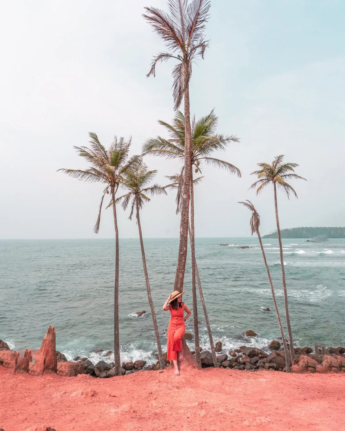 Coastal scene with palm trees.