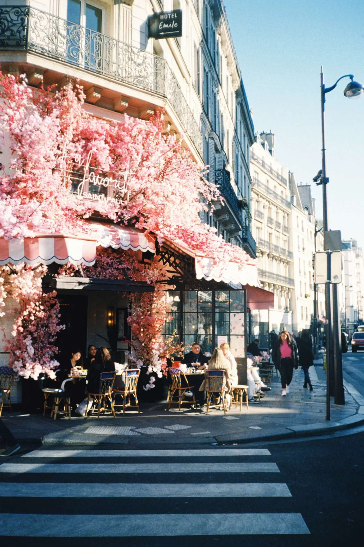 Street-side Parisian café draped in pink blossoms with outdoor tables full of patrons beneath a striped awning.
