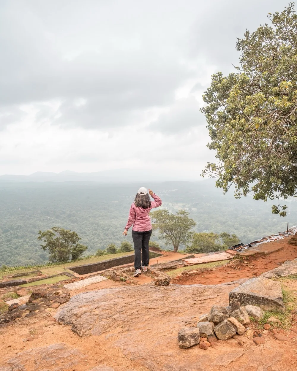 Person overlooking a scenic landscape.