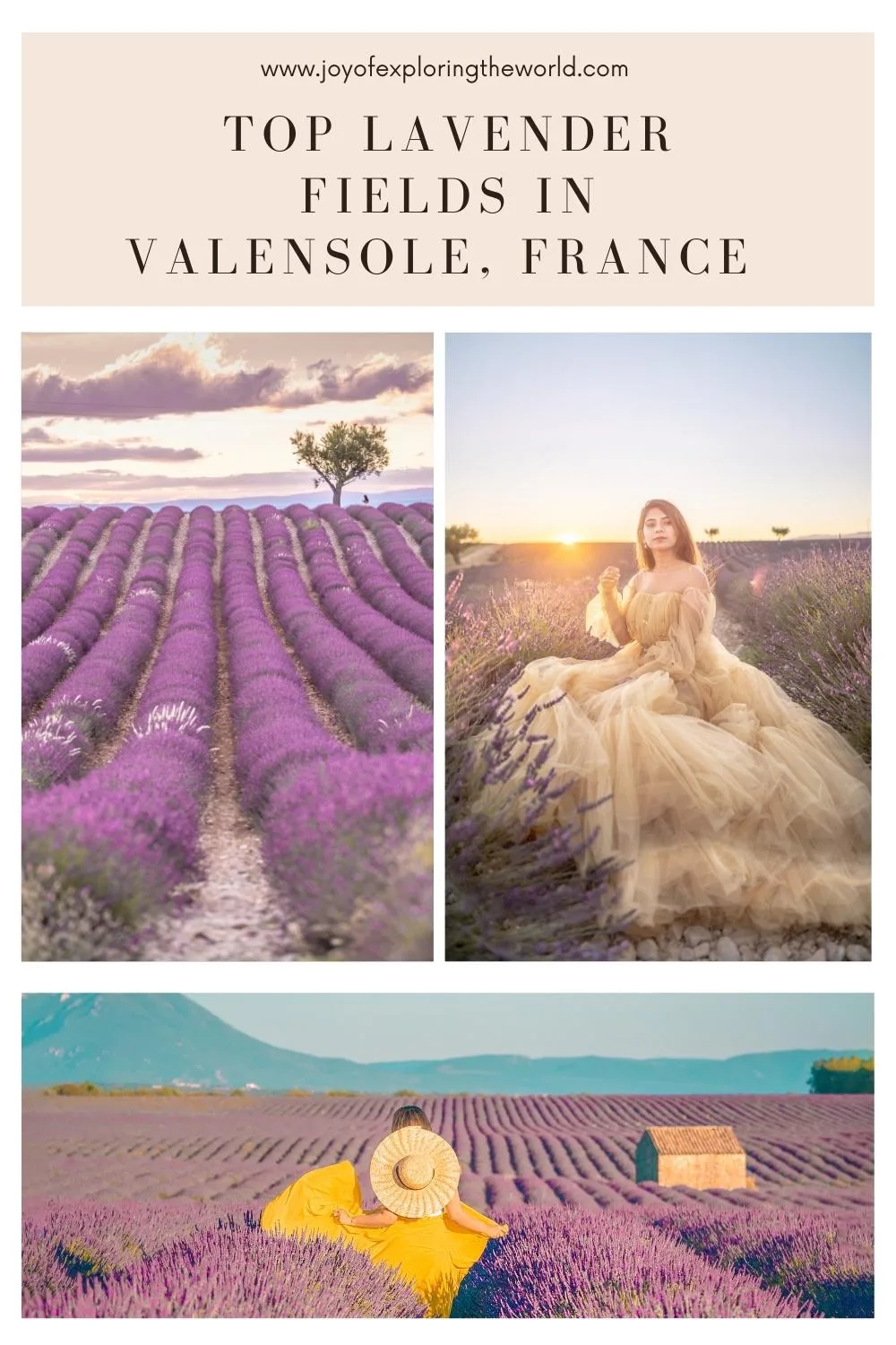 Three-panel collage showing purple lavender rows at sunset, a woman in a flowing gown among the blooms, and a person in a yellow dress with a straw hat facing the fields.