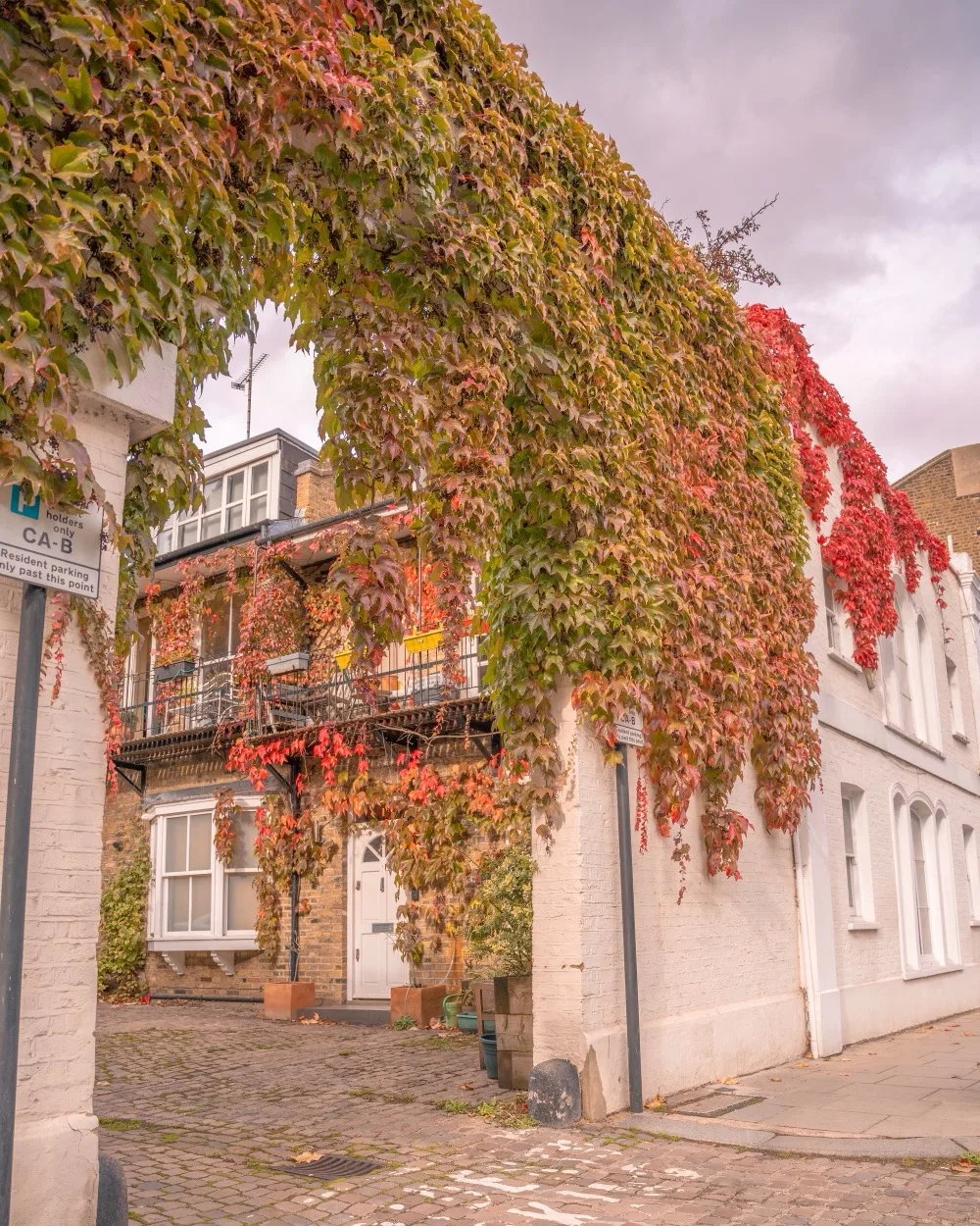 Cobbled courtyard framed by a white archway draped in red and green ivy, revealing a brick townhouse with a balcony.