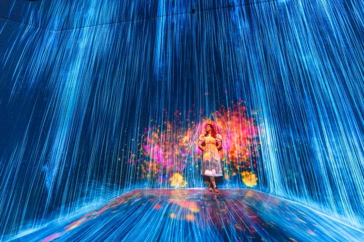 Best Things to Do in Tokyo Japan - Teamlab borderless display