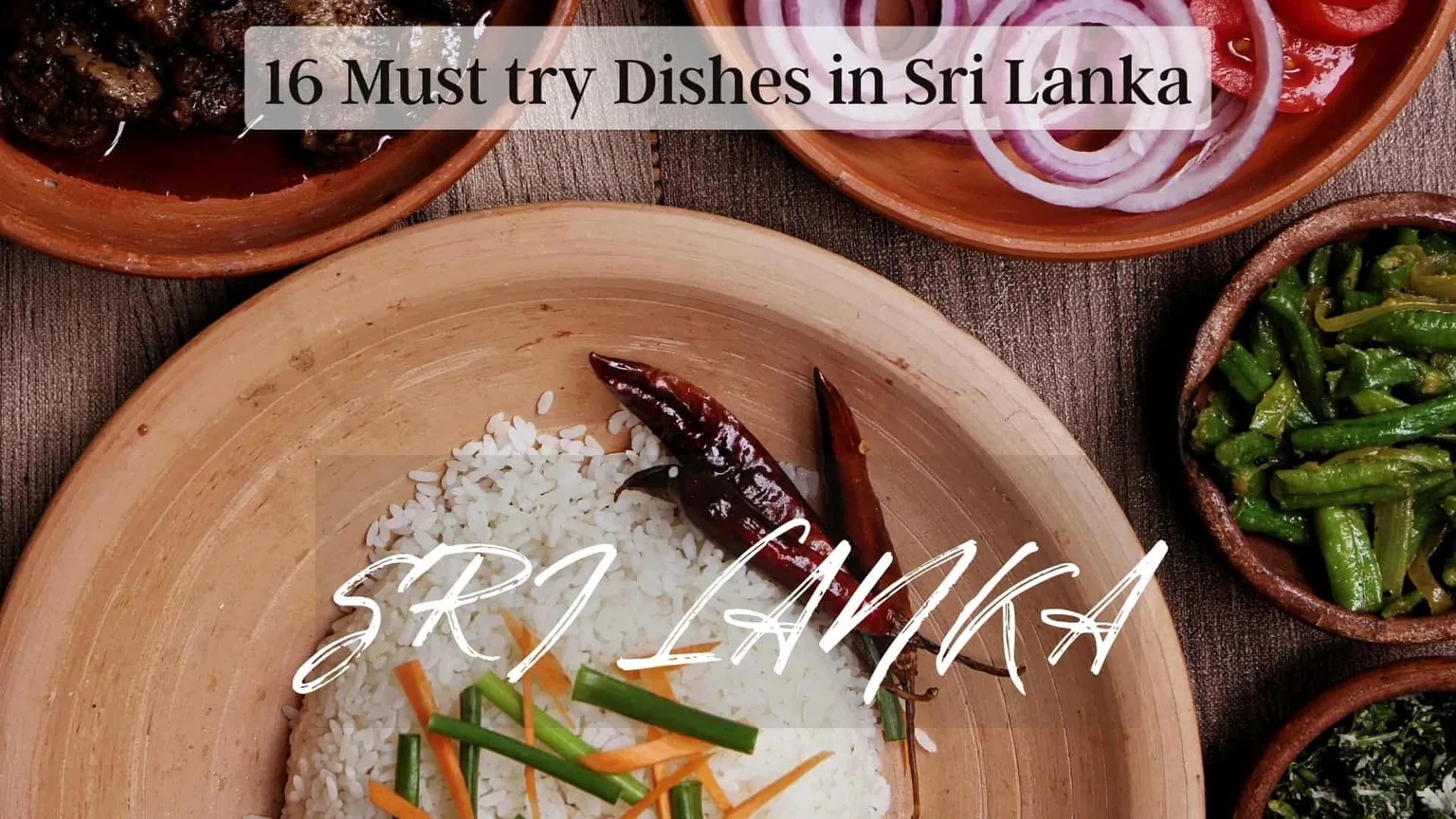 Must try dishes / food in Sri Lanka cover image