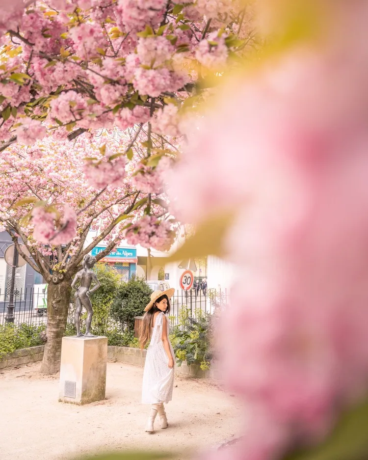 Woman in a white dress and straw hat walking beneath pink cherry blossoms in a sunlit town square beside a small statue.