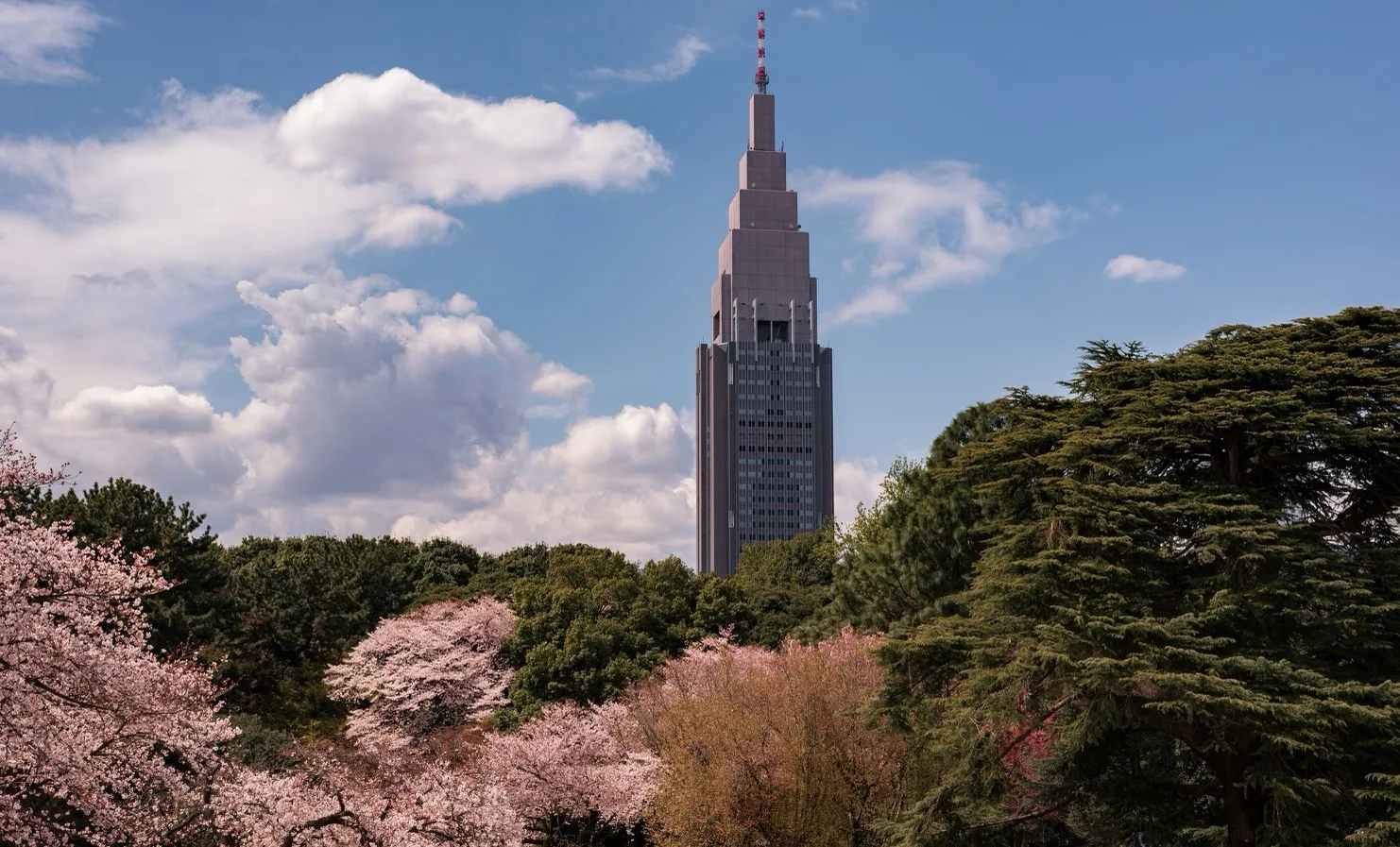 Slender stepped skyscraper rising above a park of green trees and pink cherry blossoms under a blue sky with fluffy clouds