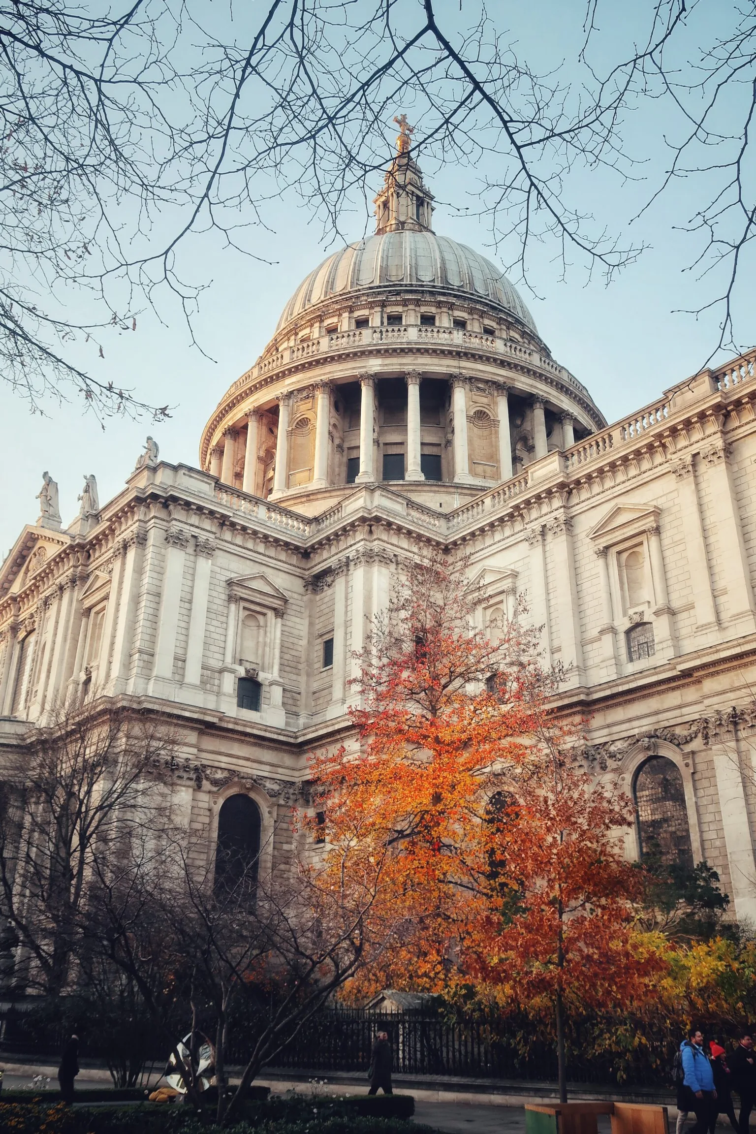 St Paul's Cathedral dome framed by bare branches and a vibrant orange autumn tree in the foreground.