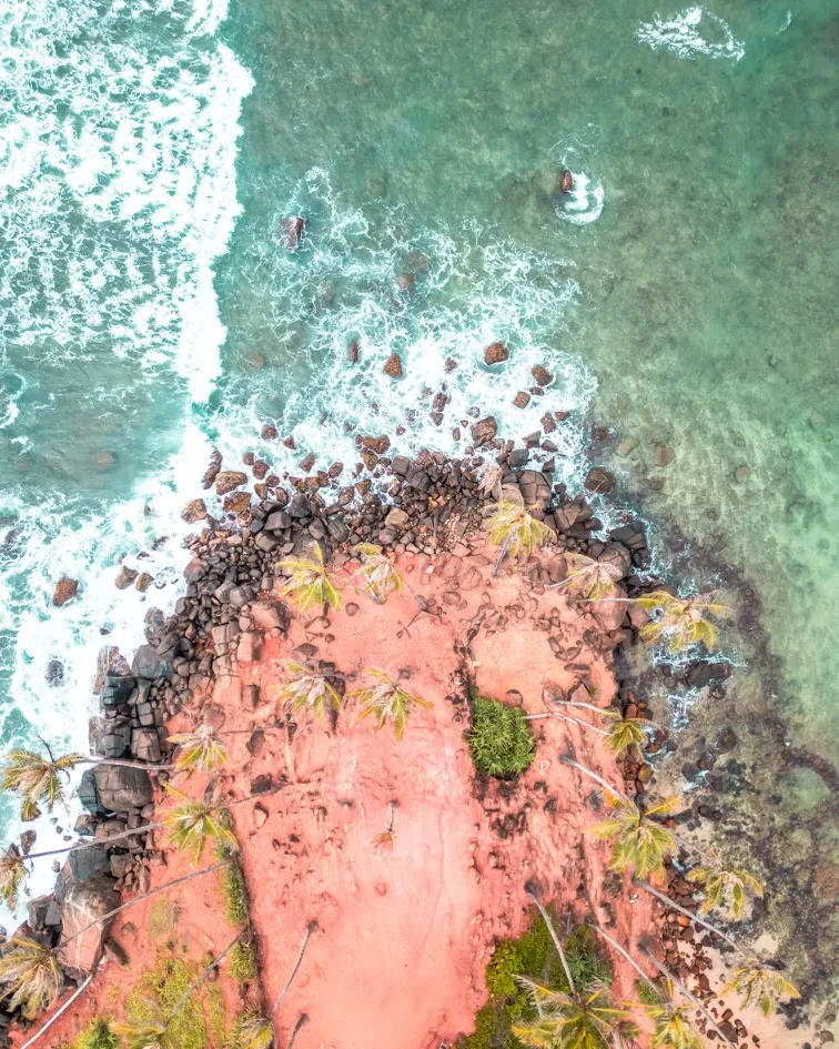 Aerial view of a rocky pink headland lined with palm trees meeting turquoise, wave-lashed ocean.