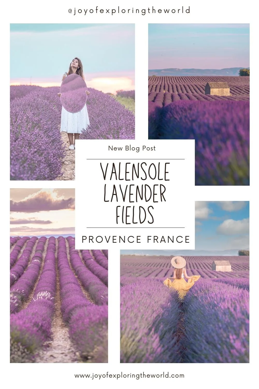 Collage of vibrant Valensole lavender fields in Provence with rows of purple blooms, stone huts, and women walking among the flowers.