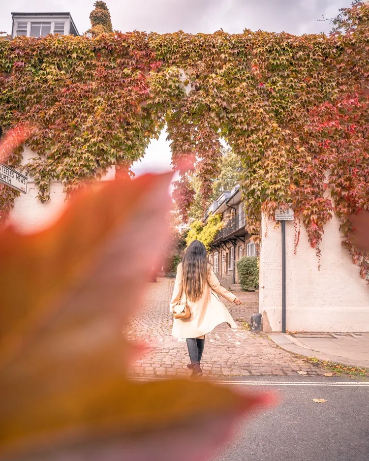 Woman in a beige coat walking away down a cobbled lane under an arch of autumnal ivy with a blurred leaf in the foreground
