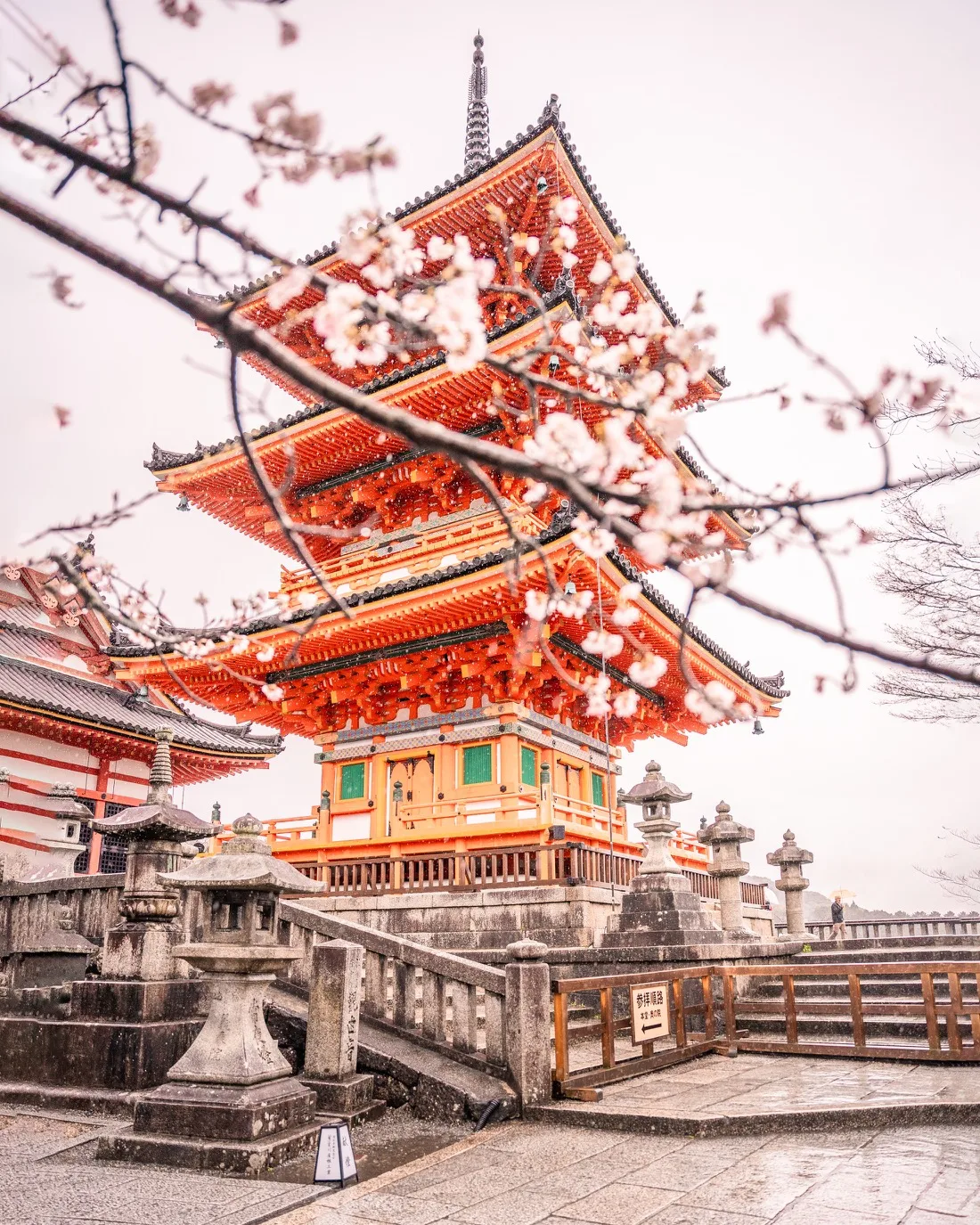 Vibrant orange three-tier pagoda framed by blooming cherry branches and stone lanterns at a Japanese temple in spring.