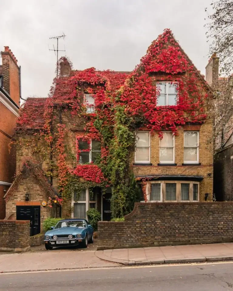 Victorian brick house draped in red autumn ivy with a vintage blue car parked in the driveway.