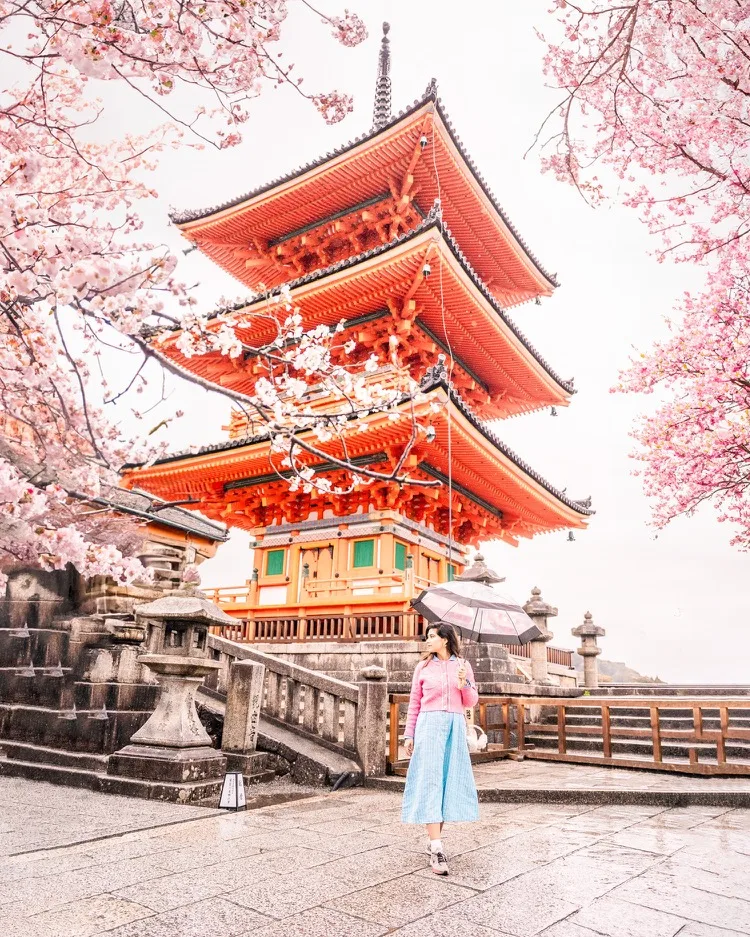 Woman with an umbrella walking past a bright red three-tiered pagoda framed by blooming cherry blossoms on a wet spring day.