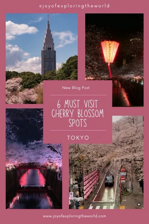 Collage poster showing Tokyo cherry blossom scenes—blossom-lined streets and river at night, a lantern-lit walkway, and a skyscraper framed by sakura, titled "6 Must Visit Cherry Blossom Spots."