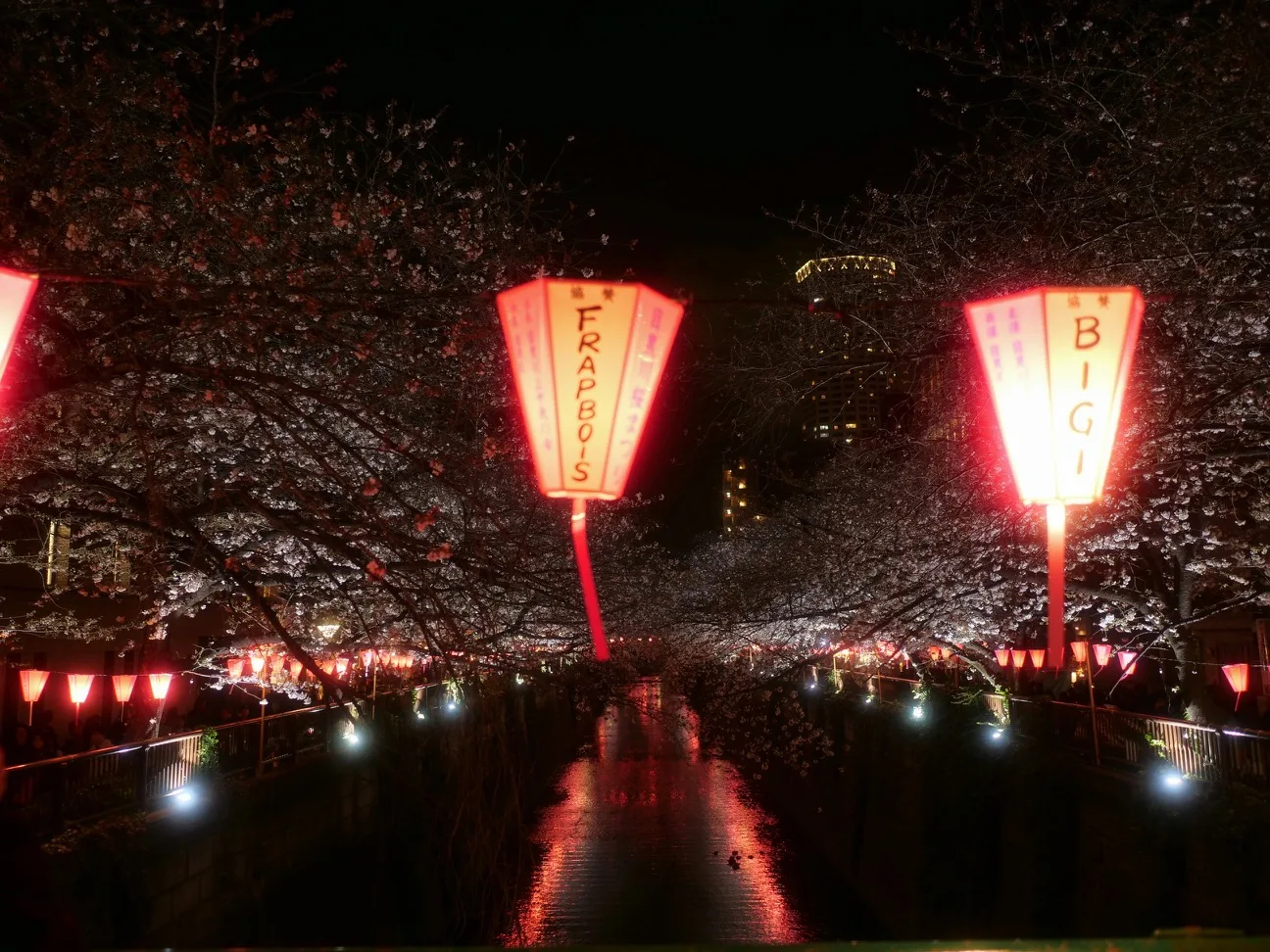 Rows of glowing red paper lanterns lighting a riverside walkway lined with cherry blossoms at night, their reflections shimmering in the water.