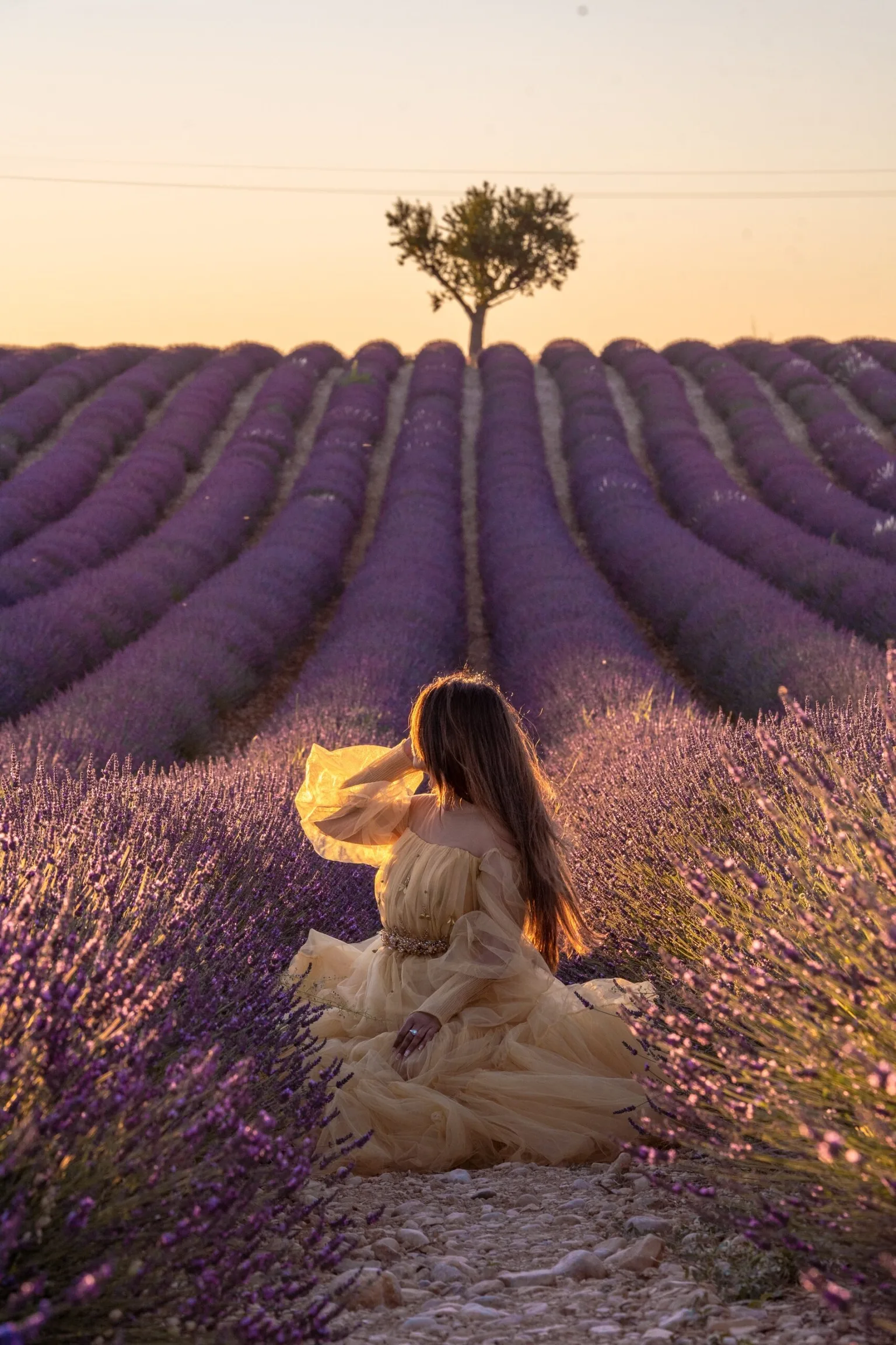 Woman in a flowing pale yellow dress sitting among rows of purple lavender at sunset with a lone tree on the horizon.