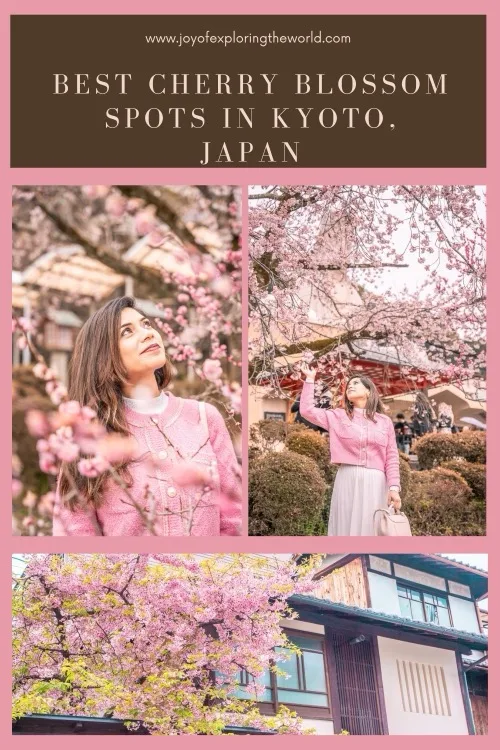 Woman in a pink coat admiring cherry blossoms near traditional wooden buildings in Kyoto during sakura season.