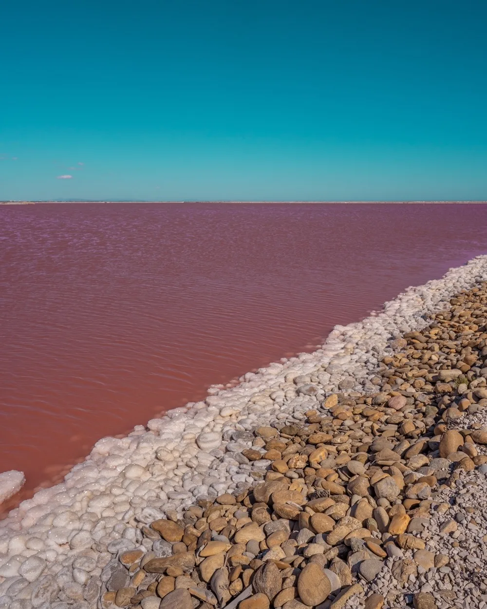Shoreline of a pink-hued salt lake with white salt crusts and rounded brown stones under a clear turquoise sky.