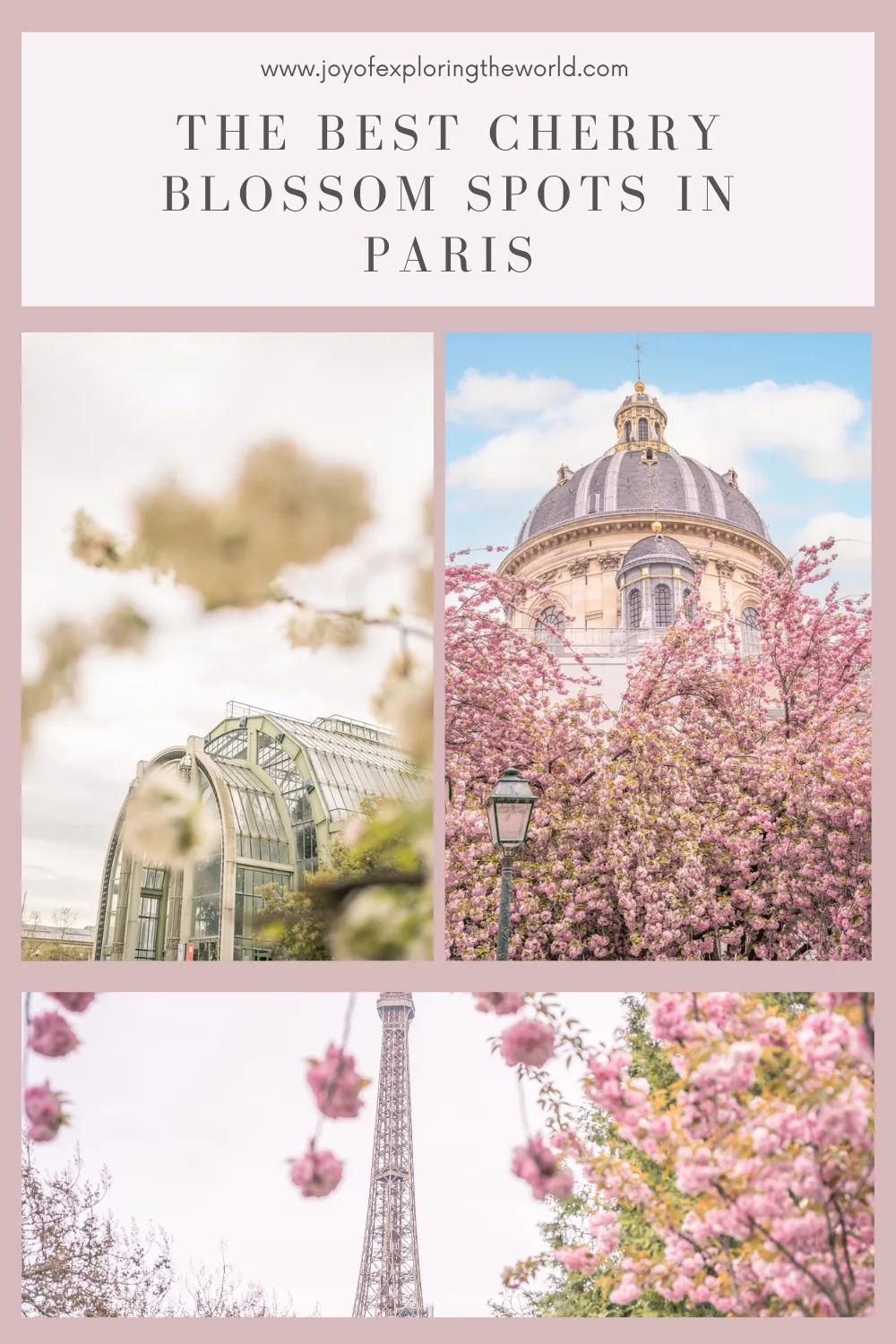 Collage showing Paris landmarks framed by pink cherry blossoms, including a domed building, a glass greenhouse, and the Eiffel Tower.