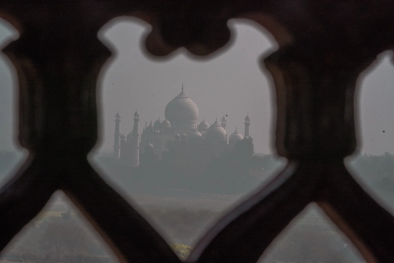 Taj Mahal dome and minarets seen through an ornate carved stone window lattice on a hazy day.