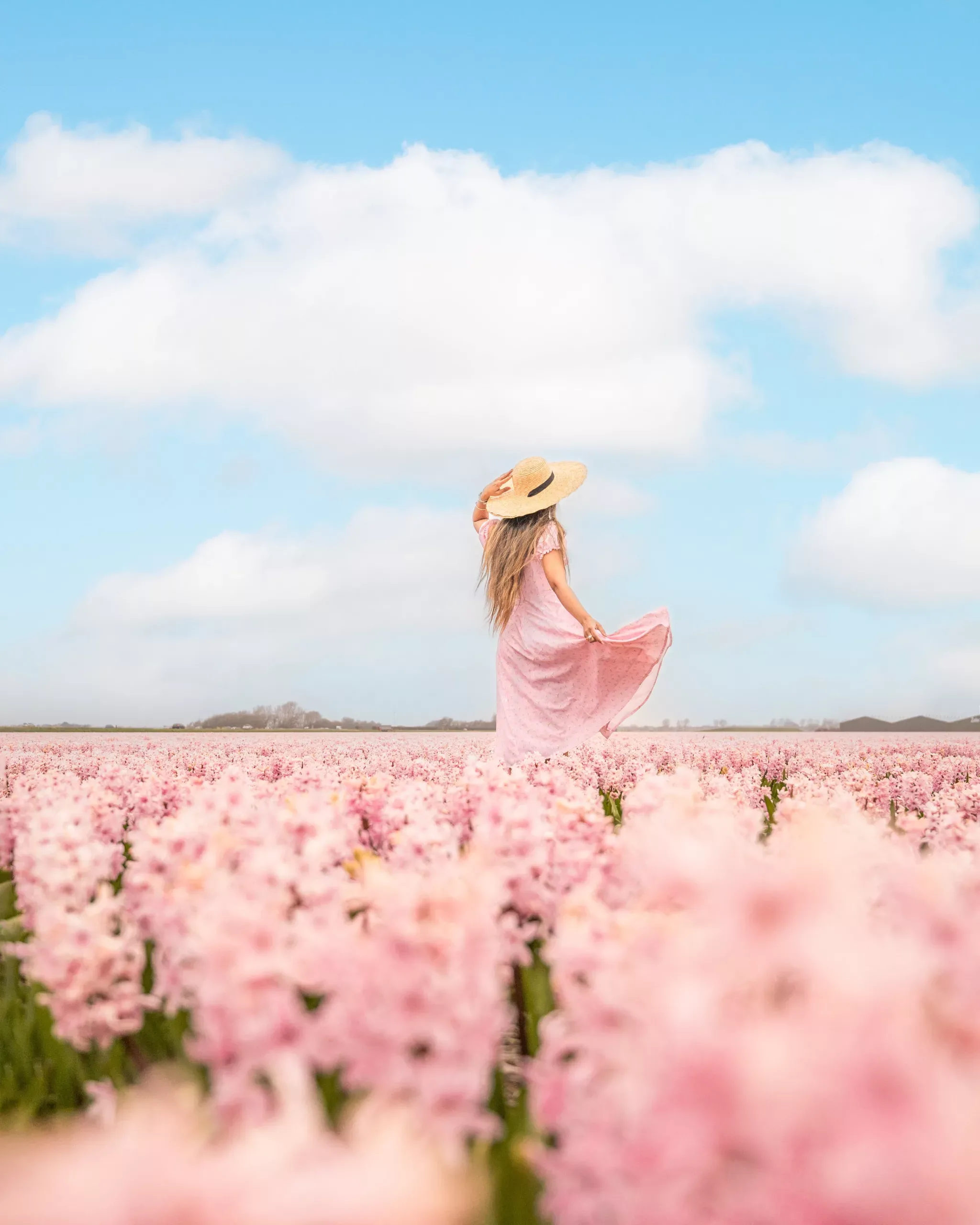 Blooming Bliss: Best Instagrammable Tulip Fields in the Netherlands