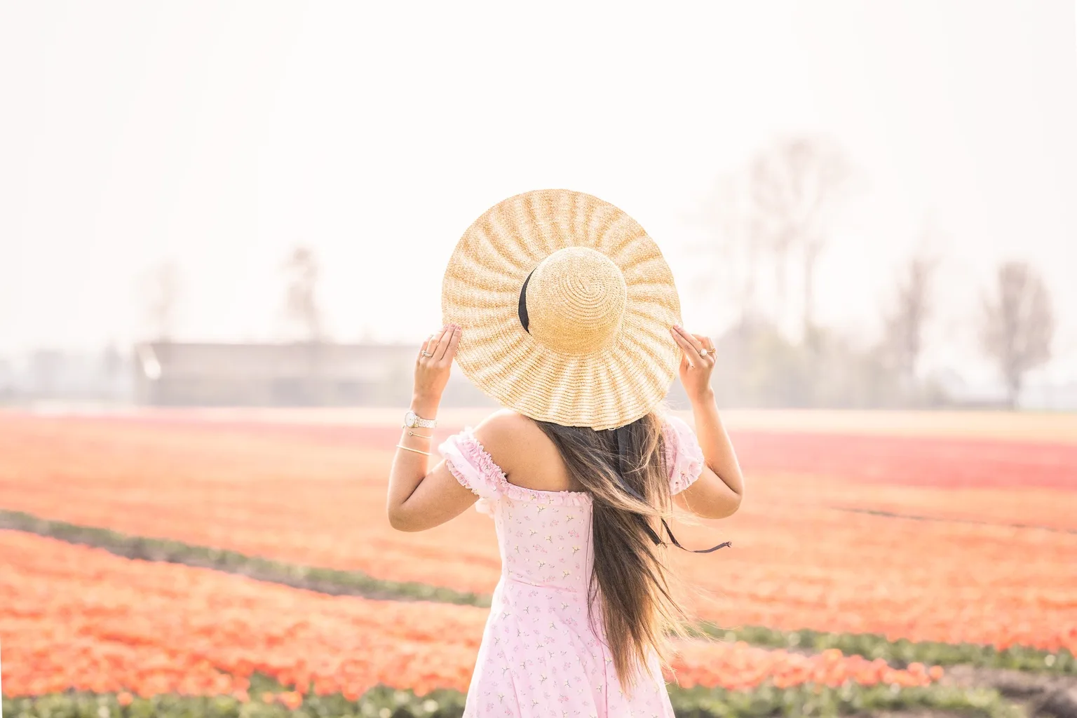 Woman in a pink sundress holding a wide straw hat while facing expansive orange tulip fields under soft light.