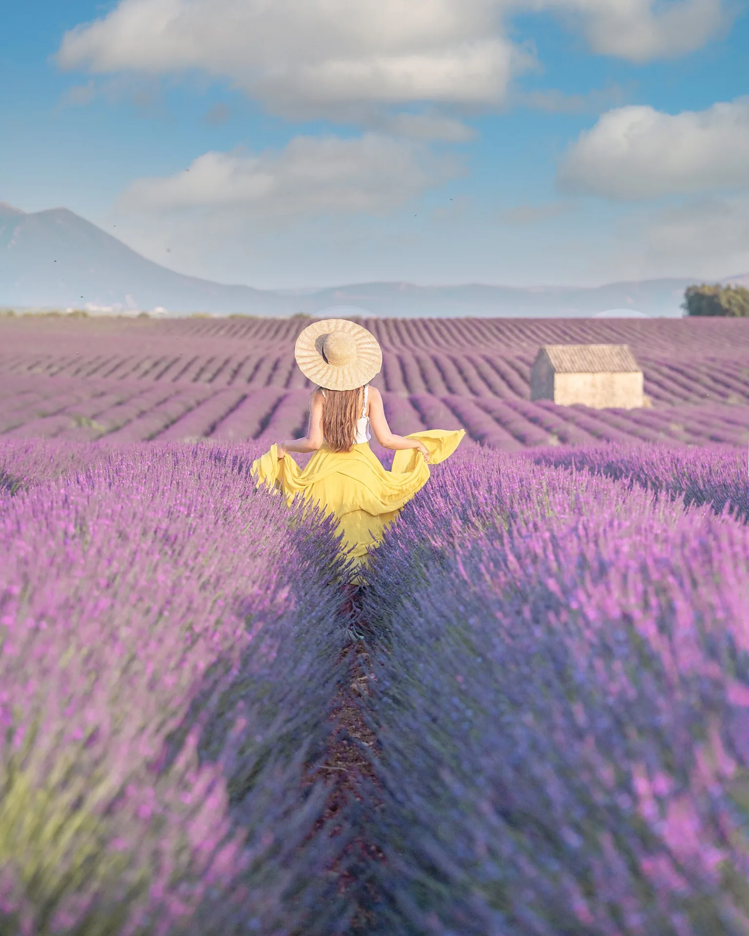 Woman in a yellow dress and straw hat walking through rows of blooming lavender toward a distant stone hut under a blue sky