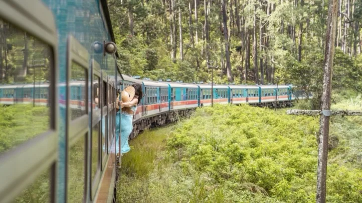Train passing through lush green landscape.