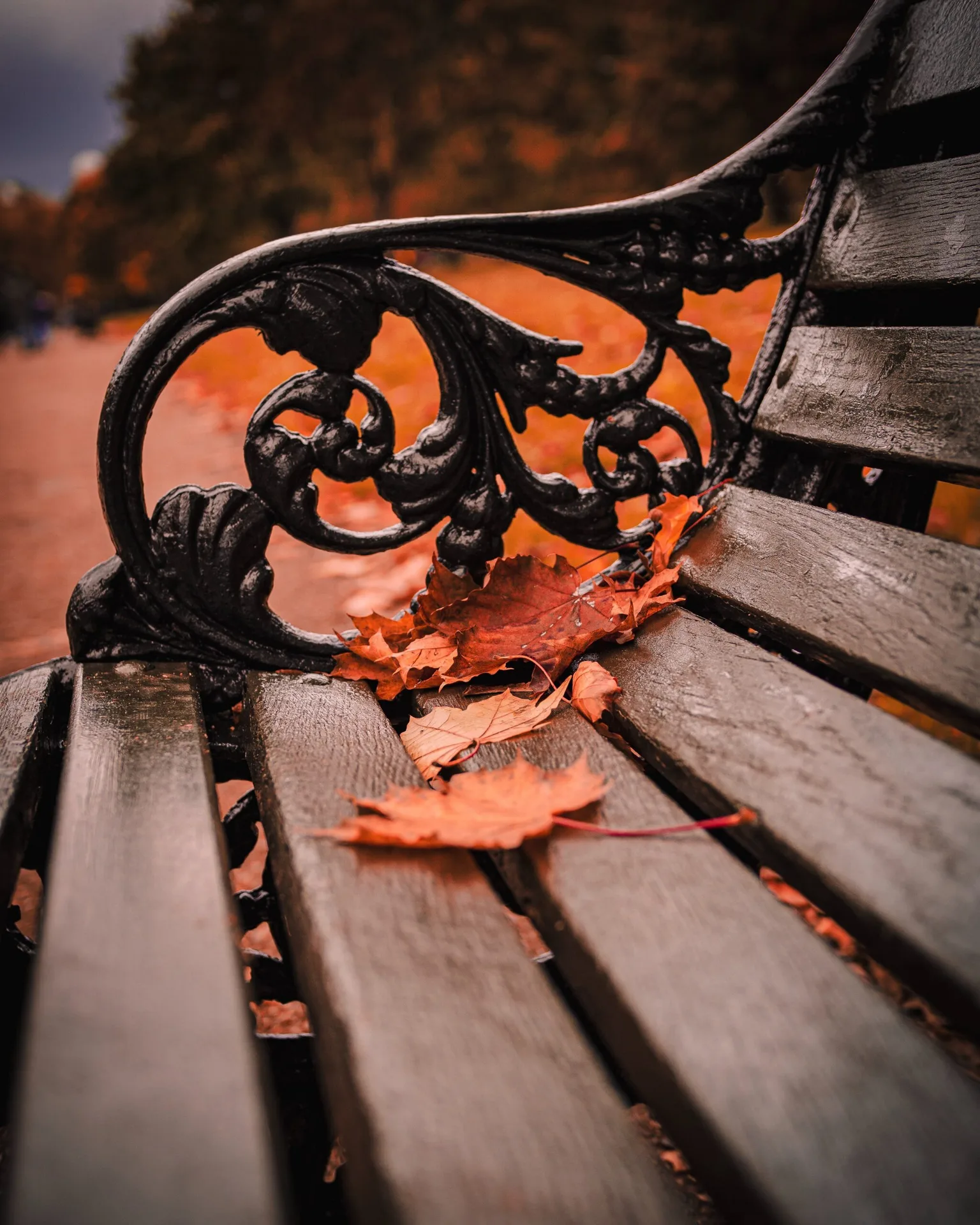 Worn wooden park bench with ornate cast-iron armrest scattered with orange autumn leaves.