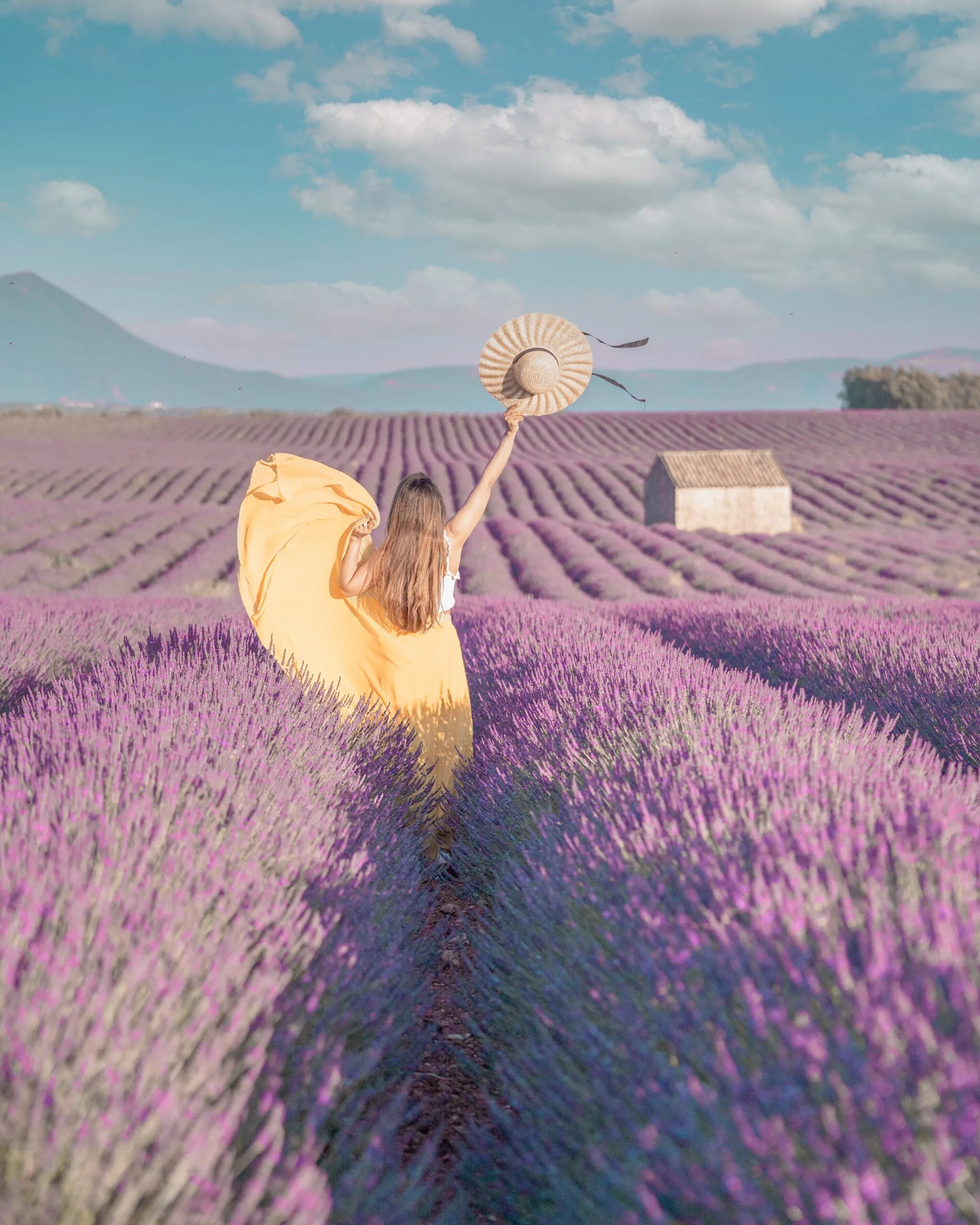Woman in a flowing yellow dress holding a straw hat aloft as she walks down a row through a purple lavender field with a small stone hut in the distance.