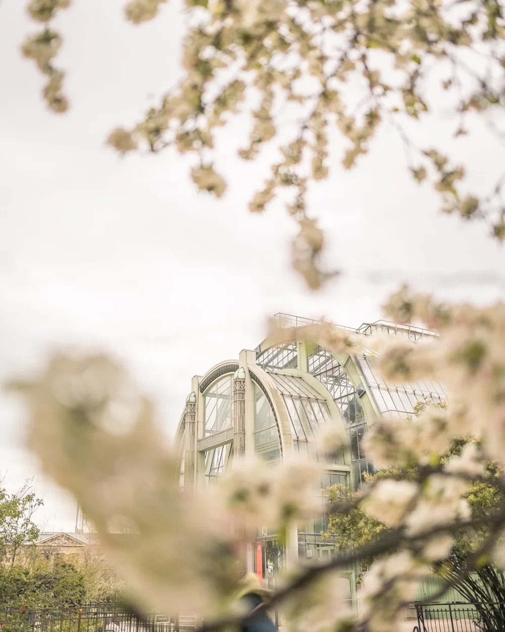 Historic glass conservatory framed by soft-focus spring blossoms under a pale sky.