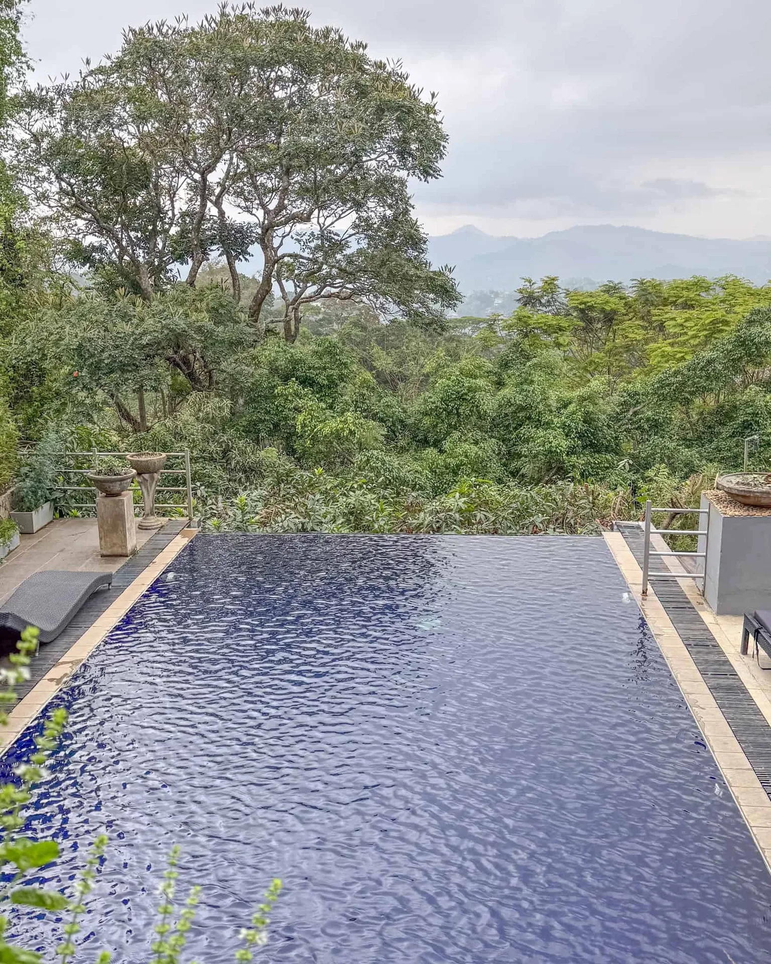 Serene infinity pool amidst lush greenery