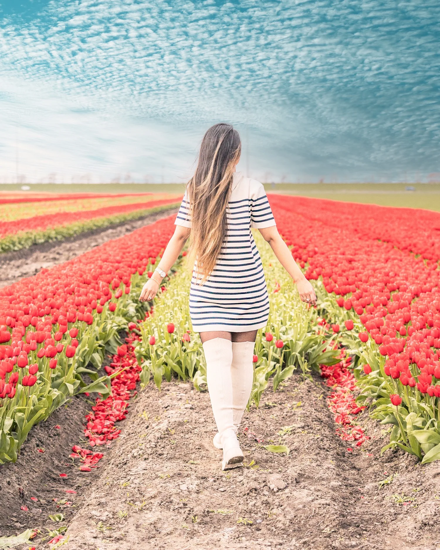 Woman in a striped dress and knee-high boots walking away down a dirt path between vivid red tulip fields under a textured blue sky.