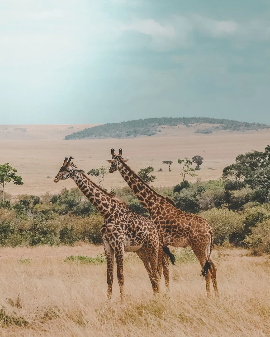 African landscape, explore Africa travel destination