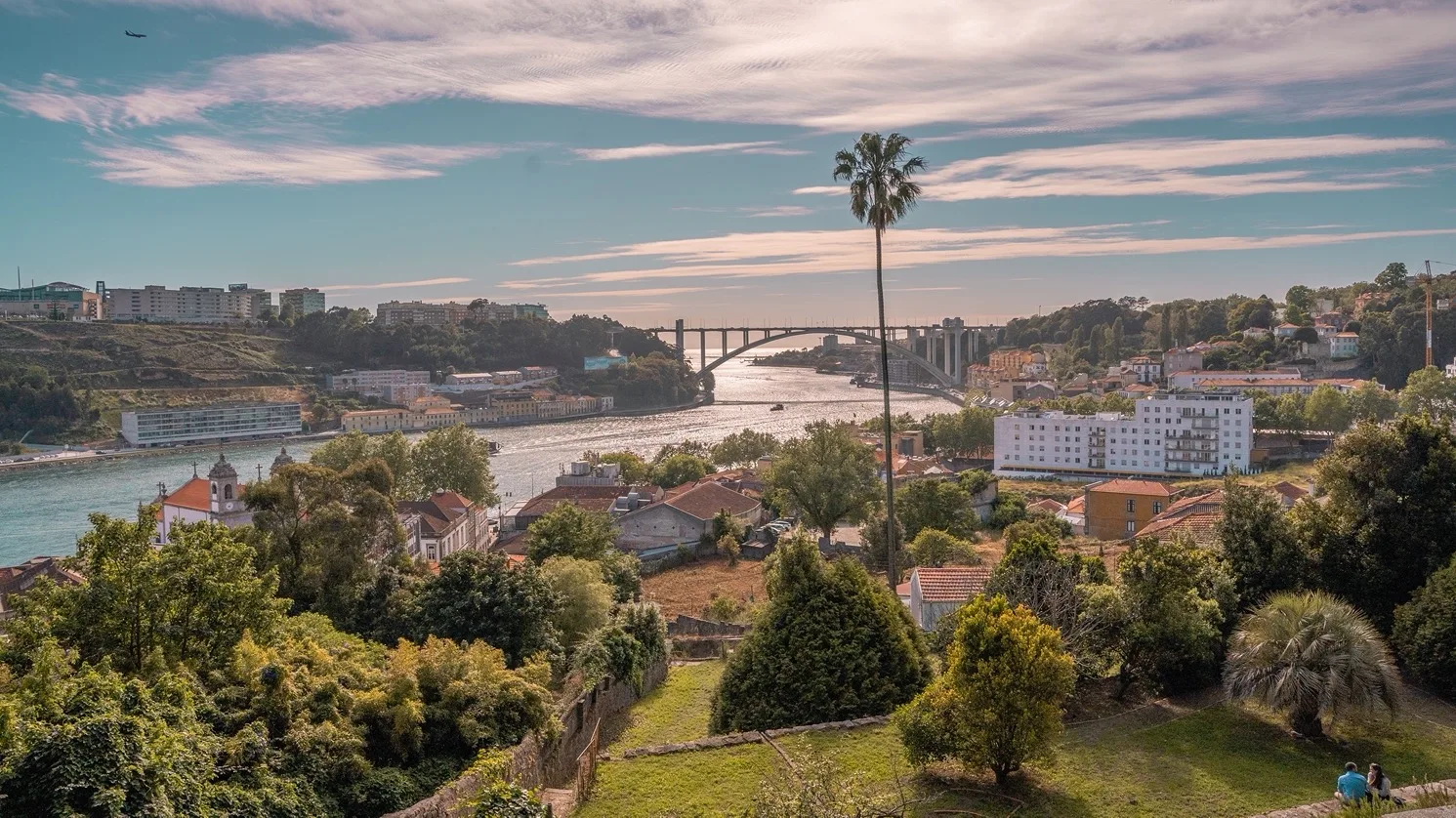 Riverside cityscape with a shimmering river, arched bridge, hillside houses and a tall solitary palm tree under a streaked sky.