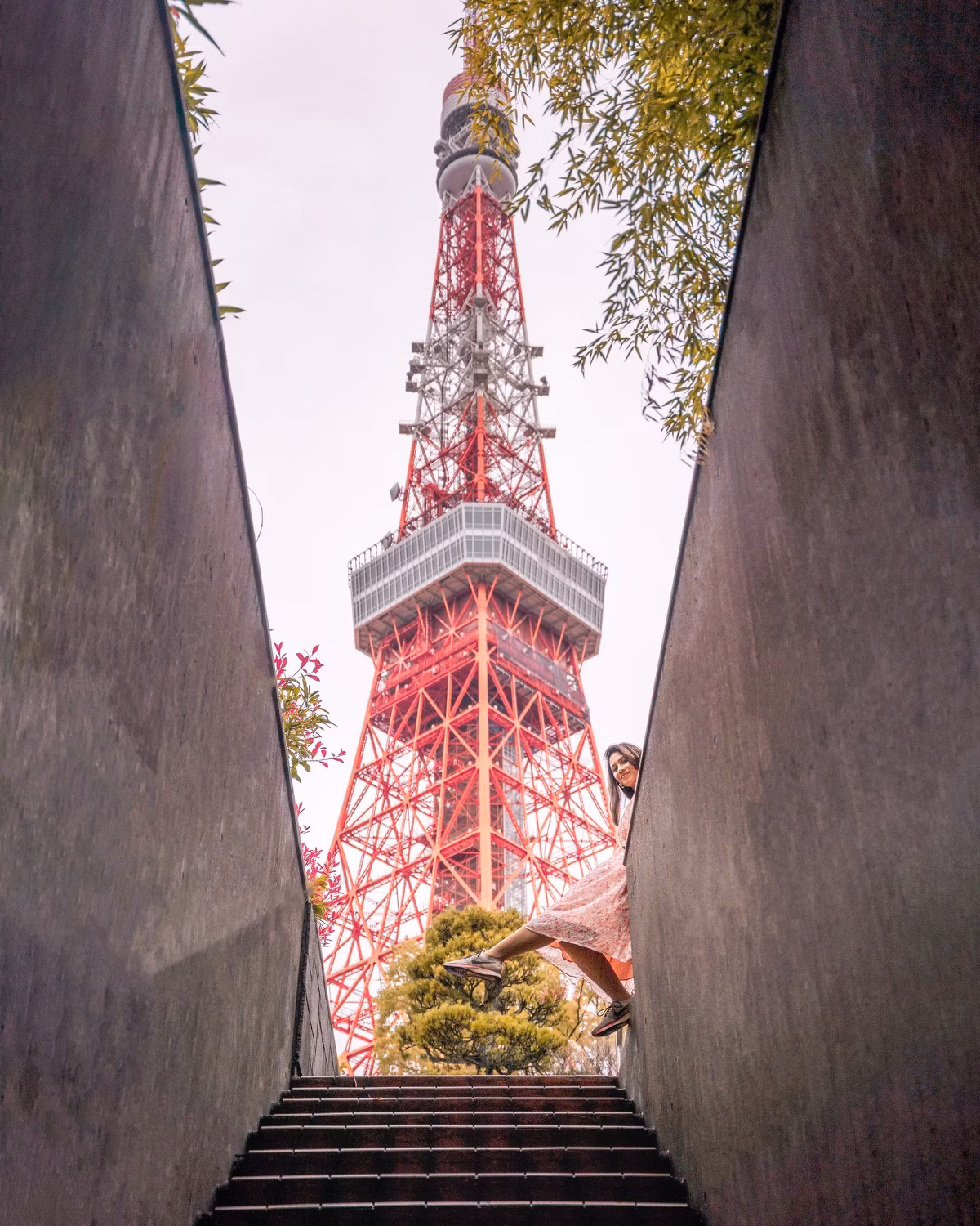 Japan Guides