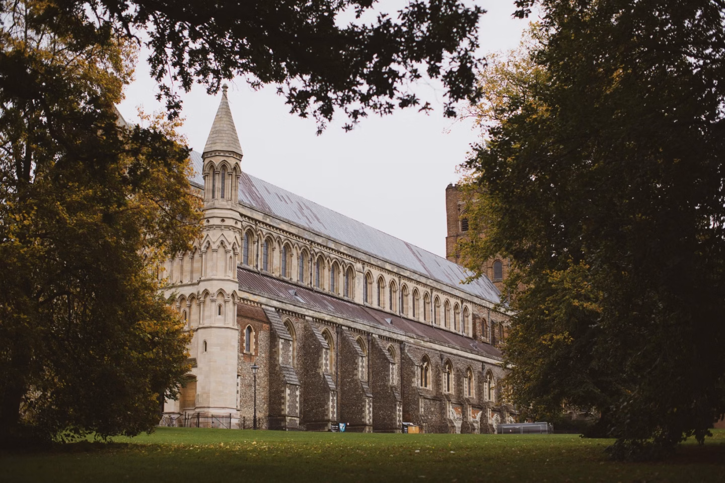 A historic stone cathedral framed by trees and a grassy lawn