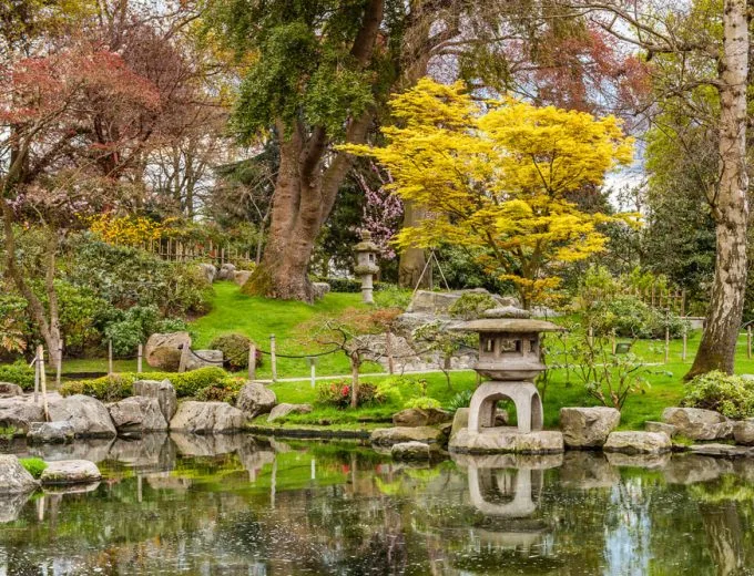 Tranquil Japanese-style garden with a stone lantern by a reflective pond, surrounded by rocks, manicured greenery and a vivid yellow maple.