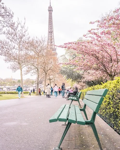 Green park benches along a blossom-lined path with people strolling and the Eiffel Tower rising in the background.