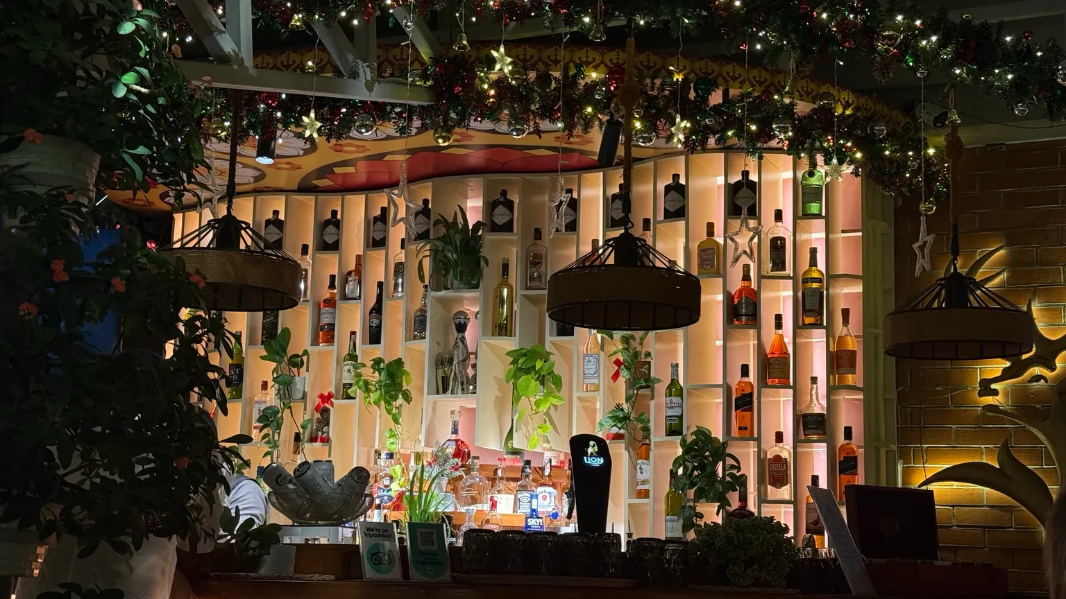 Warmly lit bar shelving filled with bottles, potted plants and hanging lights, framed by festive garlands and dark wicker pendant lamps.